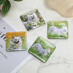 Custom Photo Magnets|Set of 4