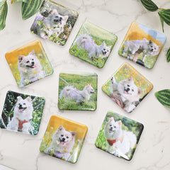 Custom Photo Magnets|Set of 9