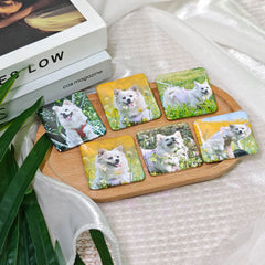 Custom Photo Magnets|Set of 6