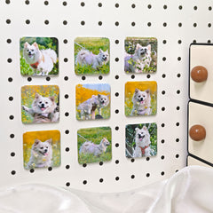 Custom Photo Magnets|Set of 9