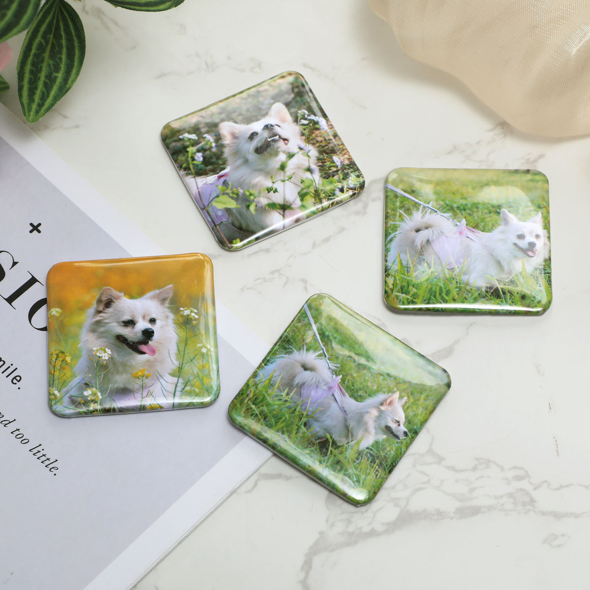 Custom Photo Magnets｜Set of 4