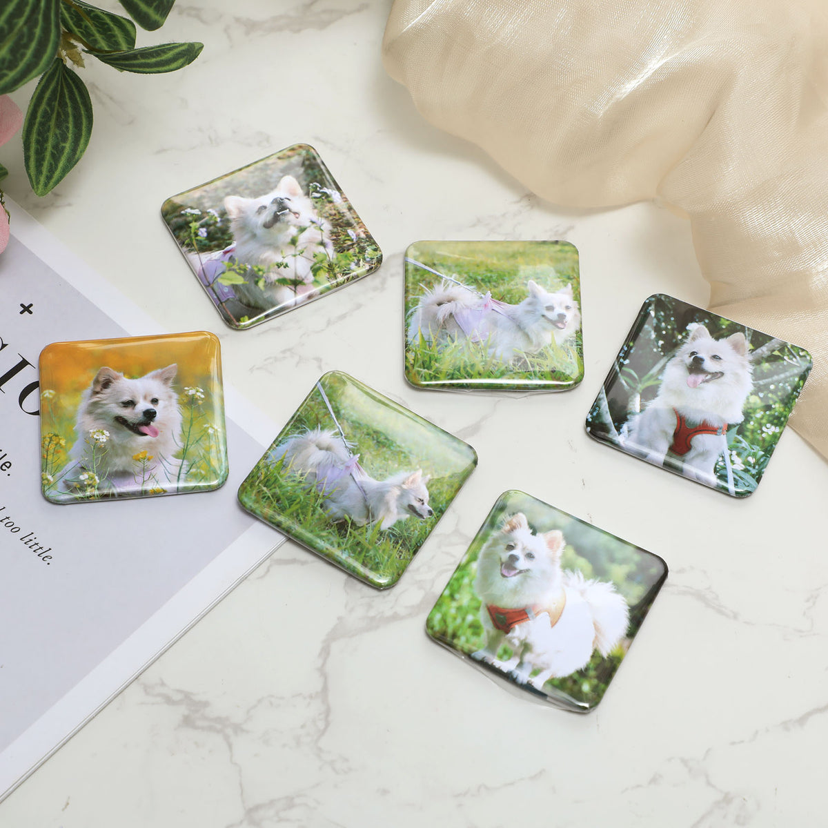 Custom Photo Magnets｜Set of 6