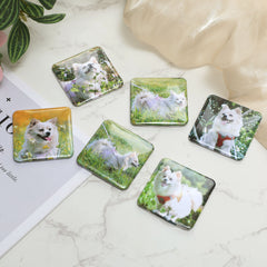 Custom Photo Magnets｜Set of 6