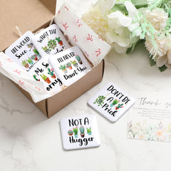 6pcs Succulent Flat Fridge Magnets Set – Cute Plant-Themed Decorative Magnets for Kitchen & Office