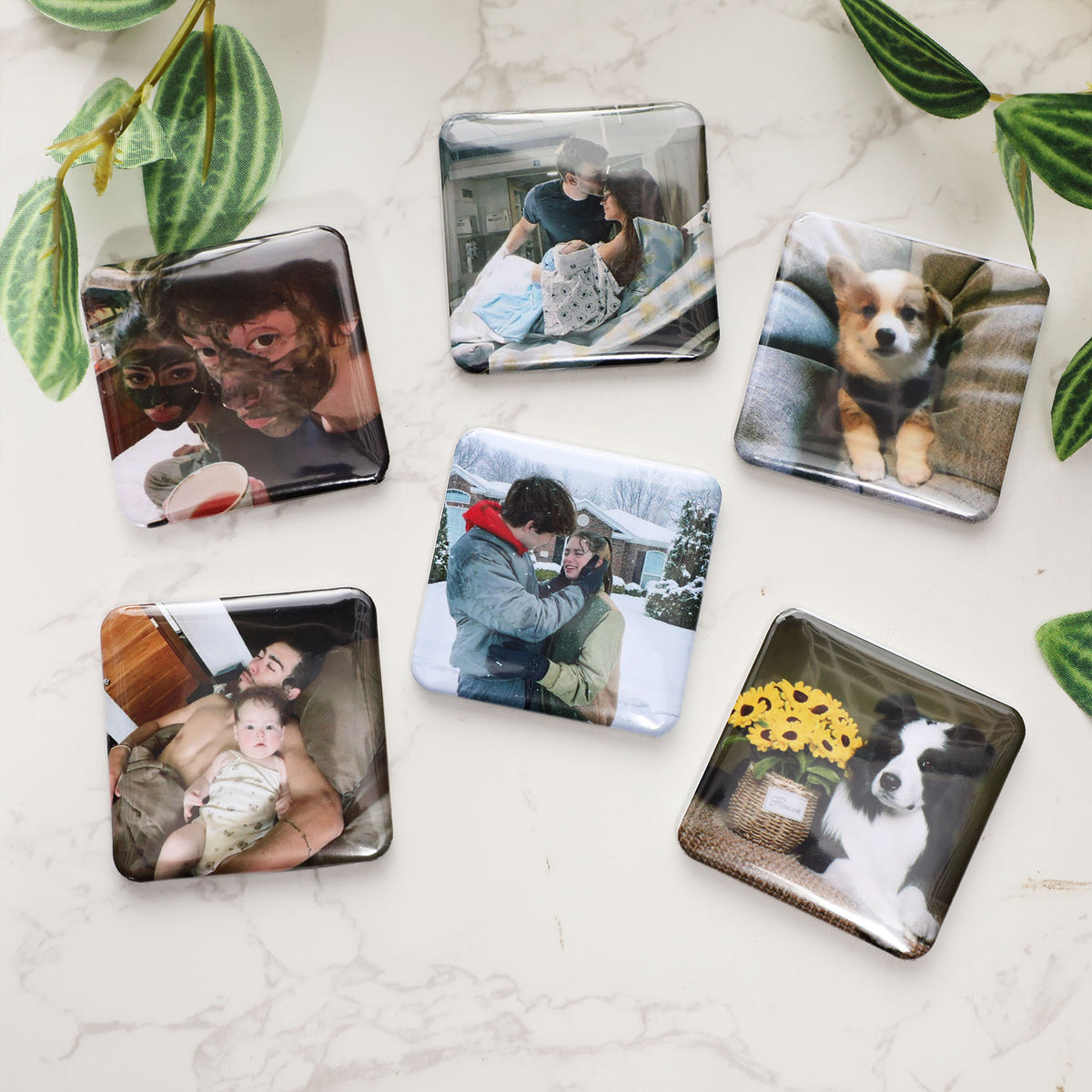 Custom Photo Magnets｜Set of 6