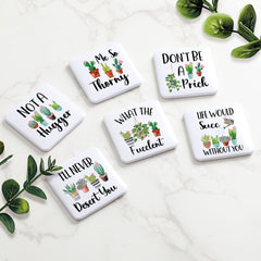6pcs Succulent Flat Fridge Magnets Set – Cute Plant-Themed Decorative Magnets for Kitchen & Office