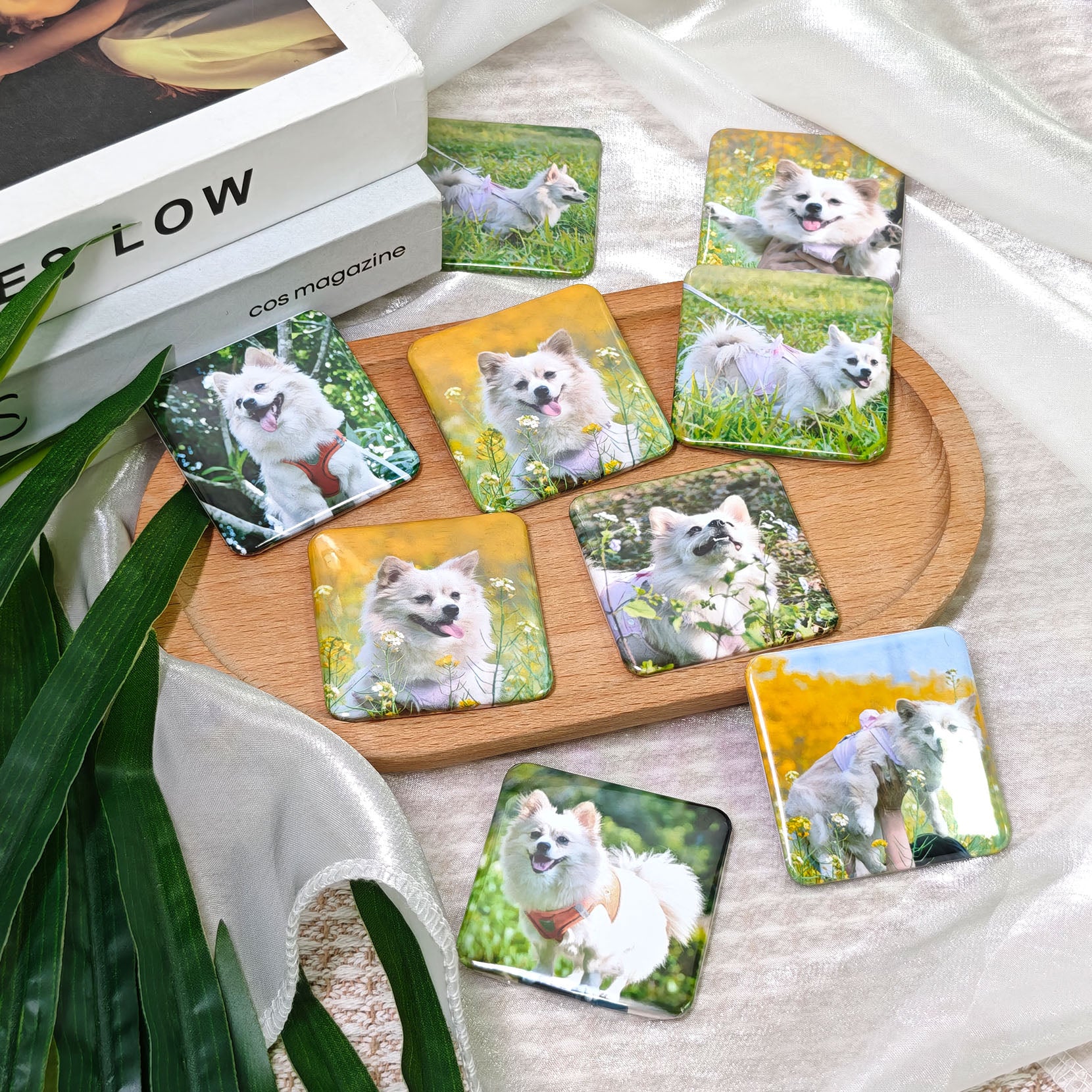 Custom Photo Magnets｜Set of 9